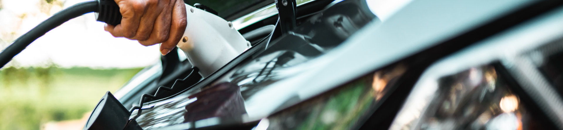 Hybrid Repair & Service in Orange, CA
